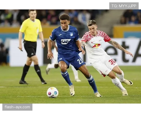 安特卫普反击效率持续提升，攻防转换表现稳健