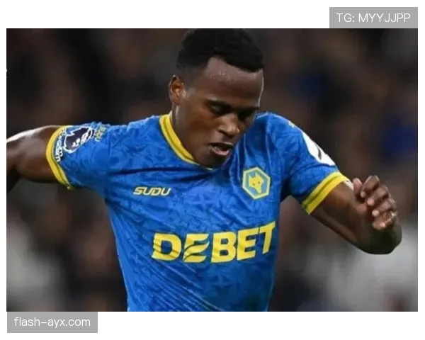 帕尔梅拉斯最新动态：媒体报道球队近期表现与转会动向